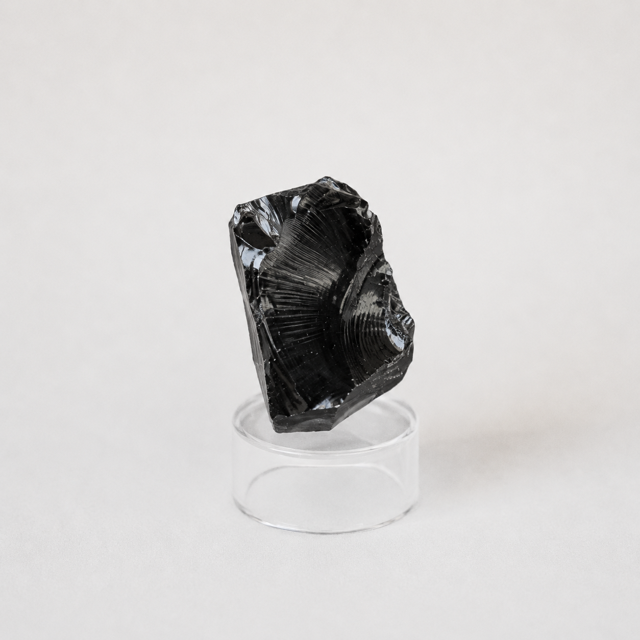 Obsiadiana Negra